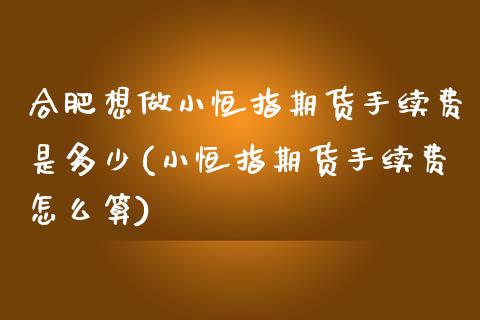 合肥想做小恒指期货手续费是多少(小恒指期货手续费怎么算)_https://www.zghnxxa.com_国际期货_第1张