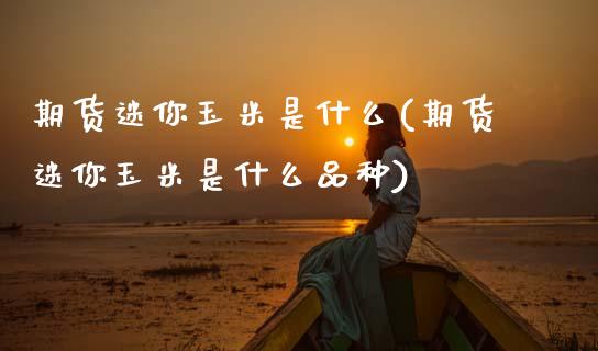 期货迷你玉米是什么(期货迷你玉米是什么品种)_期货直播室_第1张_期货直播室 期货迷你玉米是什么(期货迷你玉米是什么品种)_https://www.zghnxxa.com_期货直播室_第1张