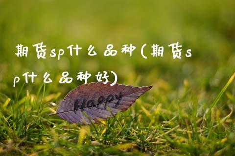 期货sp什么品种(期货sp什么品种好)_国际期货_第1张_期货直播室 期货sp什么品种(期货sp什么品种好)_https://www.zghnxxa.com_国际期货_第1张