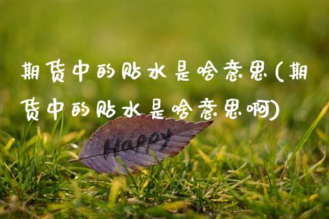 期货中的贴水是啥意思(期货中的贴水是啥意思啊)_黄金期货_第1张_期货直播室 期货中的贴水是啥意思(期货中的贴水是啥意思啊)_https://www.zghnxxa.com_黄金期货_第1张