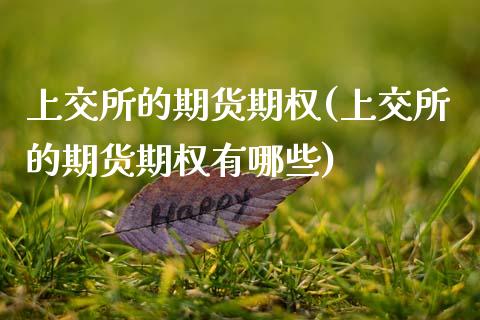 上交所的期货期权(上交所的期货期权有哪些)_https://www.zghnxxa.com_期货直播室_第1张