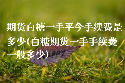 期货白糖一手平今手续费是多少(白糖期货一手手续费一般多少)_国际期货_第1张_期货直播室 期货白糖一手平今手续费是多少(白糖期货一手手续费一般多少)_https://www.zghnxxa.com_国际期货_第1张