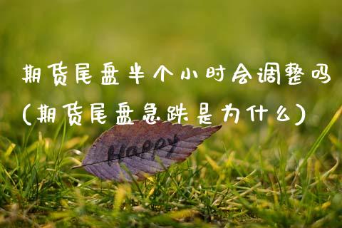 期货尾盘半个小时会调整吗(期货尾盘急跌是为什么)_https://www.zghnxxa.com_国际期货_第1张