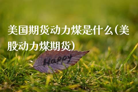 美国期货动力煤是什么(美股动力煤期货)_https://www.zghnxxa.com_期货直播室_第1张