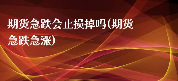 期货急跌会止损掉吗(期货急跌急涨)_https://www.zghnxxa.com_黄金期货_第1张