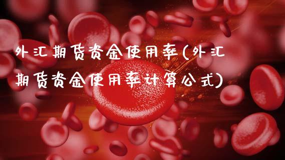 外汇期货资金使用率(外汇期货资金使用率计算公式)_https://www.zghnxxa.com_黄金期货_第1张