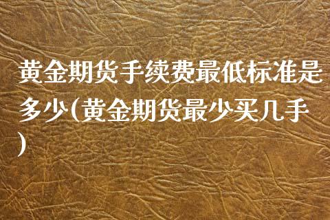 黄金期货手续费最低标准是多少(黄金期货最少买几手)_https://www.zghnxxa.com_国际期货_第1张