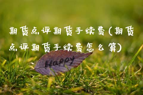 期货点评期货手续费(期货点评期货手续费怎么算)_https://www.zghnxxa.com_黄金期货_第1张