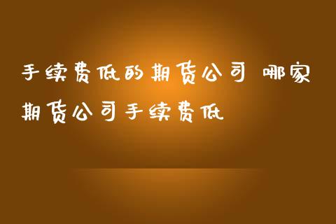 手续费低的期货公司 哪家期货公司手续费低_https://www.zghnxxa.com_国际期货_第1张