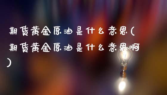 期货黄金原油是什么意思(期货黄金原油是什么意思啊)_https://www.zghnxxa.com_期货直播室_第1张