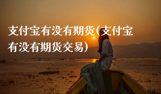 支付宝有没有期货(支付宝有没有期货交易)_https://www.zghnxxa.com_国际期货_第1张