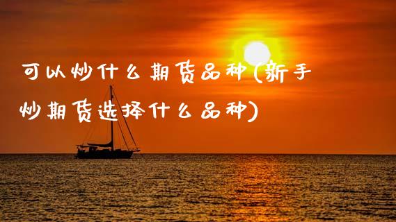 可以炒什么期货品种(新手炒期货选择什么品种)_https://www.zghnxxa.com_内盘期货_第1张