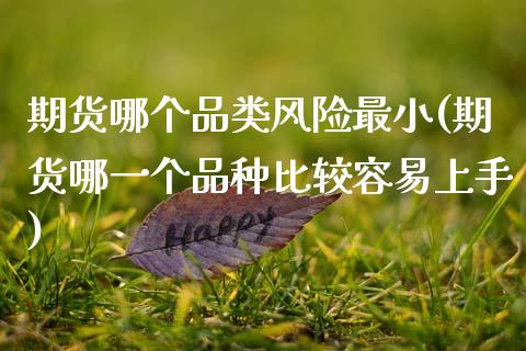 期货哪个品类风险最小(期货哪一个品种比较容易上手)_内盘期货_第1张_期货直播室 期货哪个品类风险最小(期货哪一个品种比较容易上手)_https://www.zghnxxa.com_内盘期货_第1张