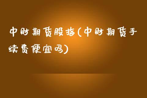 中财期货股指(中财期货手续费便宜吗)_https://www.zghnxxa.com_黄金期货_第1张