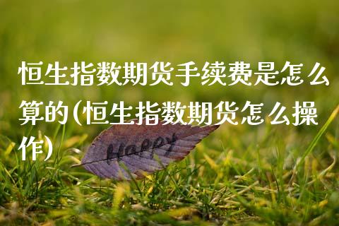 恒生指数期货手续费是怎么算的(恒生指数期货怎么操作)_黄金期货_第1张_期货直播室 恒生指数期货手续费是怎么算的(恒生指数期货怎么操作)_https://www.zghnxxa.com_黄金期货_第1张