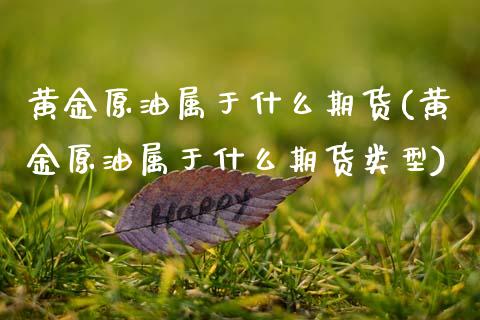 黄金原油属于什么期货(黄金原油属于什么期货类型)_https://www.zghnxxa.com_内盘期货_第1张