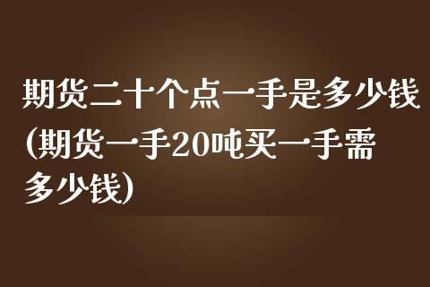 期货二十个点一手是多少钱(期货一手20吨买一手需多少钱)_https://www.zghnxxa.com_国际期货_第1张