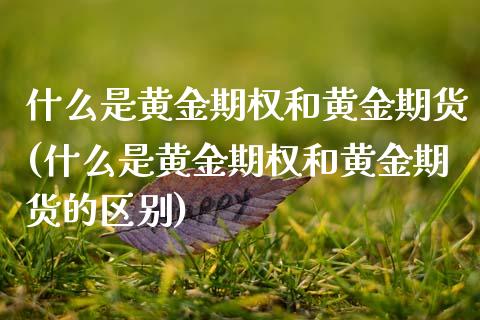 什么是黄金期权和黄金期货(什么是黄金期权和黄金期货的区别)_https://www.zghnxxa.com_期货直播室_第1张