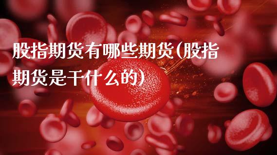 股指期货有哪些期货(股指期货是干什么的)_https://www.zghnxxa.com_黄金期货_第1张
