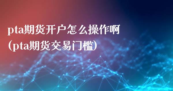 pta期货开户怎么操作啊(pta期货交易门槛)_https://www.zghnxxa.com_黄金期货_第1张