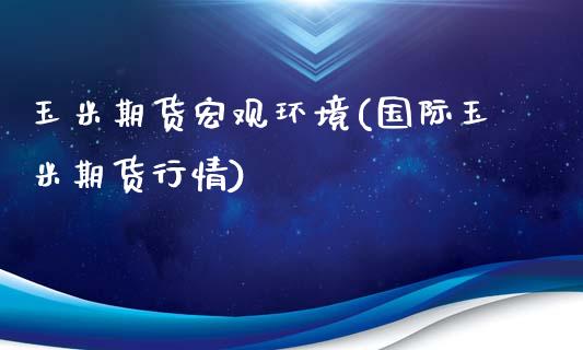 玉米期货宏观环境(国际玉米期货行情)_https://www.zghnxxa.com_国际期货_第1张