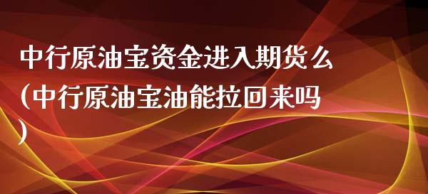 中行原油宝资金进入期货么(中行原油宝油能拉回来吗)_https://www.zghnxxa.com_内盘期货_第1张