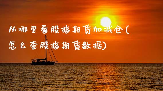 从哪里看股指期货加减仓(怎么查股指期货数据)_期货直播室_第1张_期货直播室 从哪里看股指期货加减仓(怎么查股指期货数据)_https://www.zghnxxa.com_期货直播室_第1张
