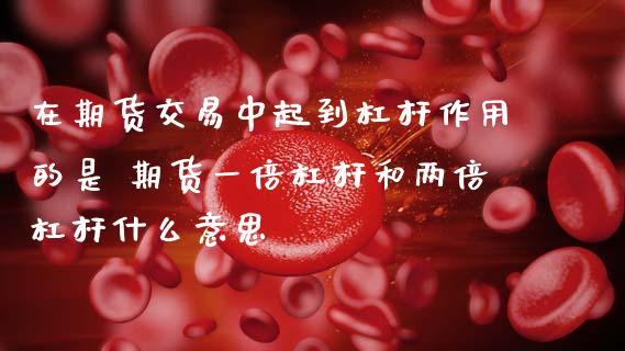 在期货交易中起到杠杆作用的是 期货一倍杠杆和两倍杠杆什么意思_https://www.zghnxxa.com_国际期货_第1张