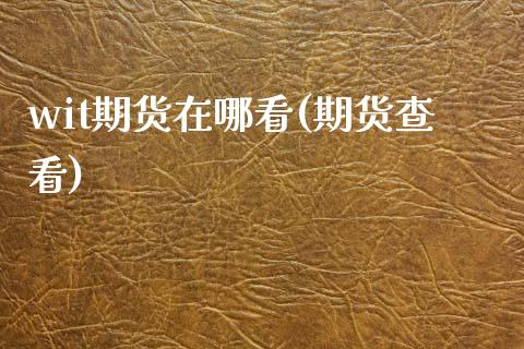 wit期货在哪看(期货查看)_https://www.zghnxxa.com_国际期货_第1张
