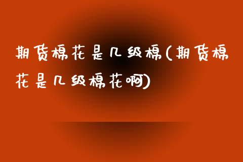 期货棉花是几级棉(期货棉花是几级棉花啊)_https://www.zghnxxa.com_国际期货_第1张