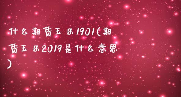 什么期货玉米1901(期货玉米2019是什么意思)_https://www.zghnxxa.com_内盘期货_第1张