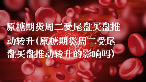原糖期货周二受尾盘买盘推动转升(原糖期货周二受尾盘买盘推动转升的影响吗)_https://www.zghnxxa.com_期货直播室_第1张
