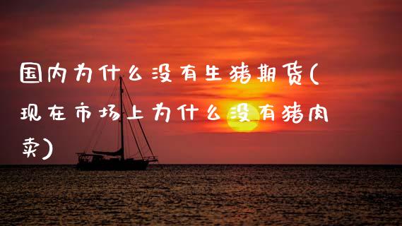 国内为什么没有生猪期货(现在市场上为什么没有猪肉卖)_https://www.zghnxxa.com_期货直播室_第1张
