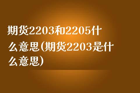 期货2203和2205什么意思(期货2203是什么意思)_https://www.zghnxxa.com_内盘期货_第1张