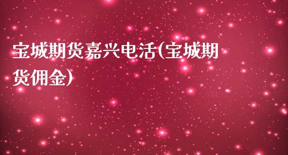 宝城期货嘉兴电活(宝城期货佣金)_https://www.zghnxxa.com_内盘期货_第1张