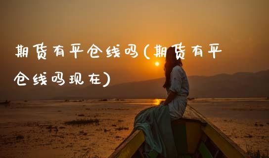 期货有平仓线吗(期货有平仓线吗现在)_https://www.zghnxxa.com_期货直播室_第1张