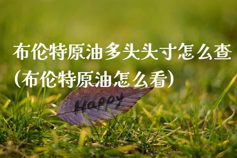 布伦特原油多头头寸怎么查(布伦特原油怎么看)_https://www.zghnxxa.com_内盘期货_第1张