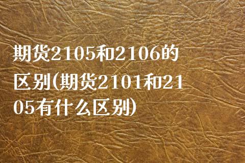 期货2105和2106的区别(期货2101和2105有什么区别)_https://www.zghnxxa.com_期货直播室_第1张