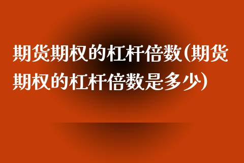 期货期权的杠杆倍数(期货期权的杠杆倍数是多少)_https://www.zghnxxa.com_期货直播室_第1张