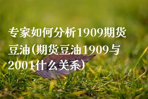 专家如何分析1909期货豆油(期货豆油1909与2001什么关系)_https://www.zghnxxa.com_内盘期货_第1张
