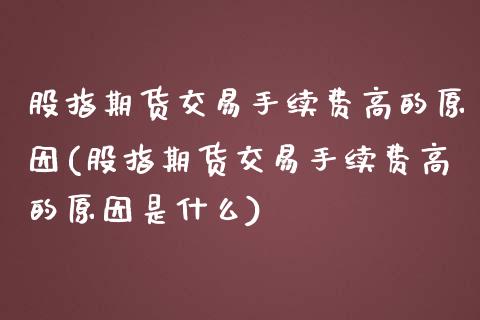 股指期货交易手续费高的原因(股指期货交易手续费高的原因是什么)_https://www.zghnxxa.com_国际期货_第1张