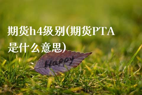 期货h4级别(期货PTA是什么意思)_内盘期货_第1张_期货直播室 期货h4级别(期货PTA是什么意思)_https://www.zghnxxa.com_内盘期货_第1张