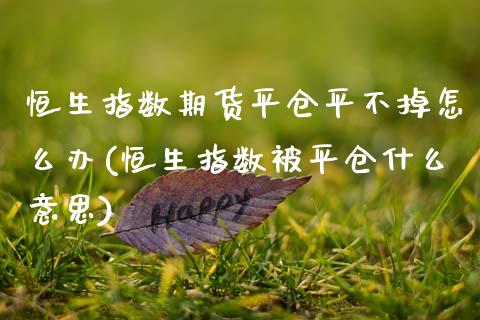 恒生指数期货平仓平不掉怎么办(恒生指数被平仓什么意思)_黄金期货_第1张_期货直播室 恒生指数期货平仓平不掉怎么办(恒生指数被平仓什么意思)_https://www.zghnxxa.com_黄金期货_第1张