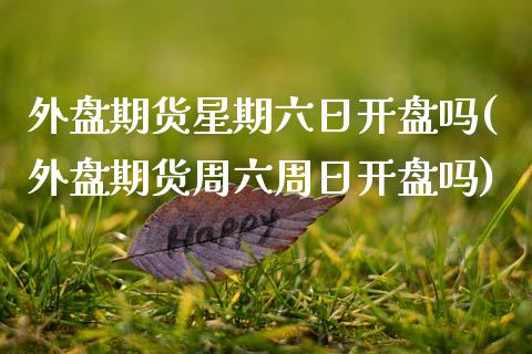 外盘期货星期六日开盘吗(外盘期货周六周日开盘吗)_https://www.zghnxxa.com_期货直播室_第1张