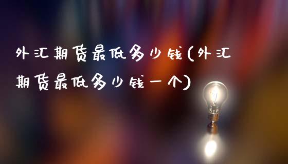 外汇期货最低多少钱(外汇期货最低多少钱一个)_https://www.zghnxxa.com_期货直播室_第1张