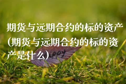 期货与远期合约的标的资产(期货与远期合约的标的资产是什么)_国际期货_第1张_期货直播室 期货与远期合约的标的资产(期货与远期合约的标的资产是什么)_https://www.zghnxxa.com_国际期货_第1张