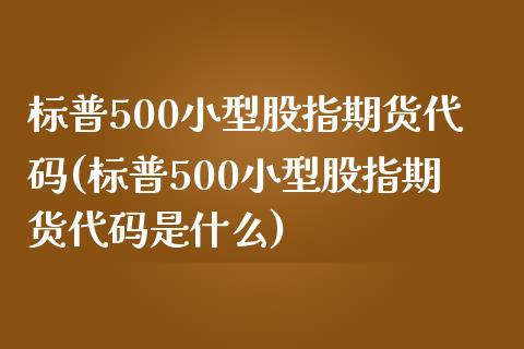 标普500小型股指期货代码(标普500小型股指期货代码是什么)_https://www.zghnxxa.com_黄金期货_第1张