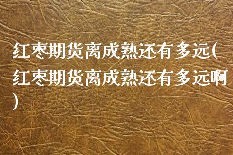 红枣期货离成熟还有多远(红枣期货离成熟还有多远啊)_https://www.zghnxxa.com_国际期货_第1张
