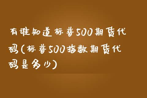 有谁知道标普500期货代码(标普500指数期货代码是多少)_https://www.zghnxxa.com_期货直播室_第1张