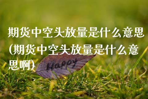 期货中空头放量是什么意思(期货中空头放量是什么意思啊)_期货直播室_第1张_期货直播室 期货中空头放量是什么意思(期货中空头放量是什么意思啊)_https://www.zghnxxa.com_期货直播室_第1张